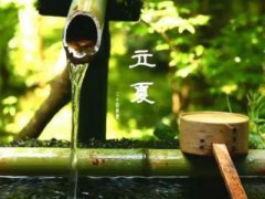 北美農(nóng)大集團，殺蟲劑廠家，殺菌劑，沖施肥，生長調(diào)節(jié)劑